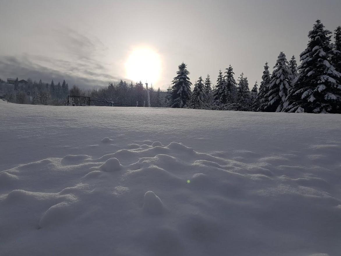 Agroturystyka Koronkowe Zacisze Koniaków Zewnętrze zdjęcie