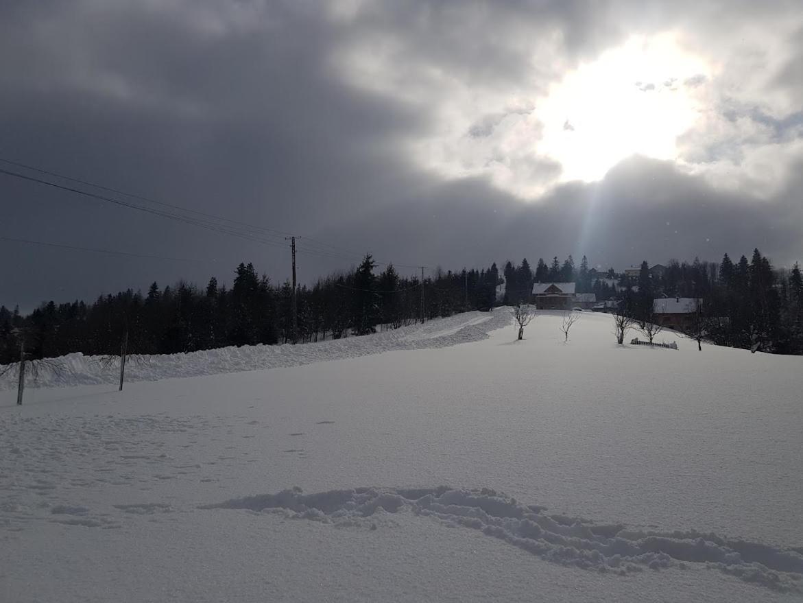 Agroturystyka Koronkowe Zacisze Koniaków Zewnętrze zdjęcie